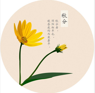 55555.png